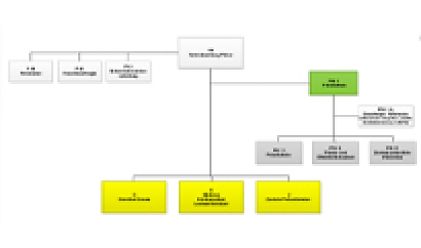 Auf der Grafik sehen Sie das Organigramm der Polizei Bremen.